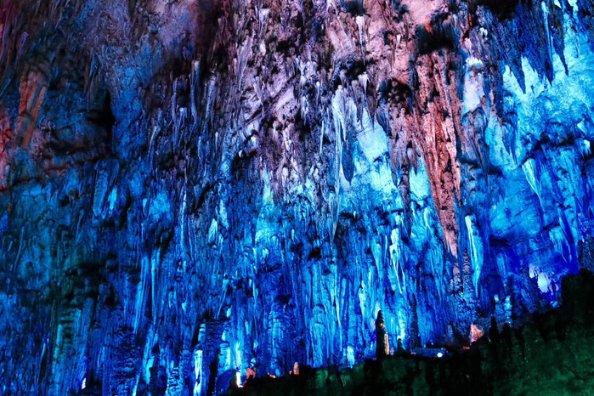 宣布灭绝的生物出现了，野生华南虎会被重新发现吗？游戏画面